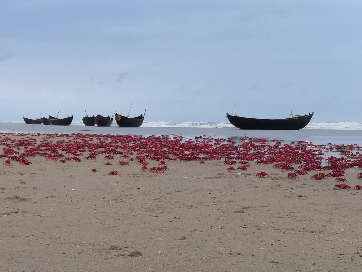 lal-kakra-beach