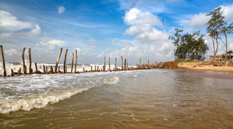 Tajpur Sea Beach – 9.7 Km (23 min approx)